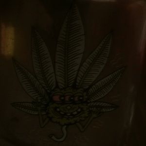 Meet your Posher, Fletcher